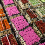 Crated Flowers