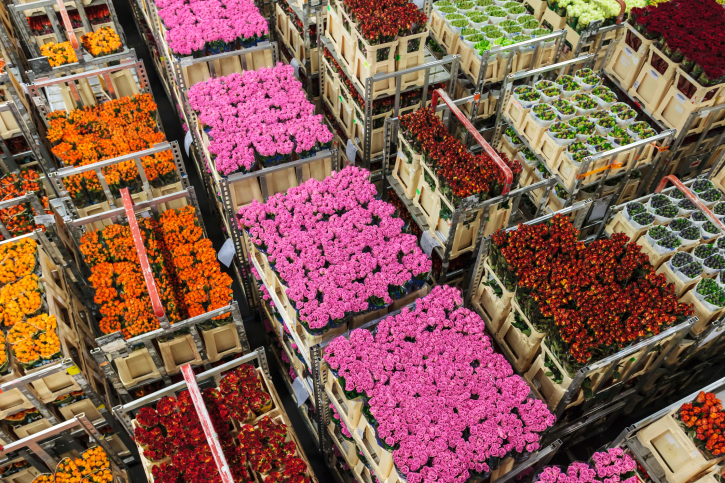 Crated Flowers